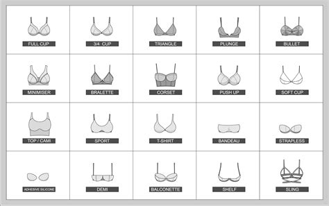 bra sizes visual